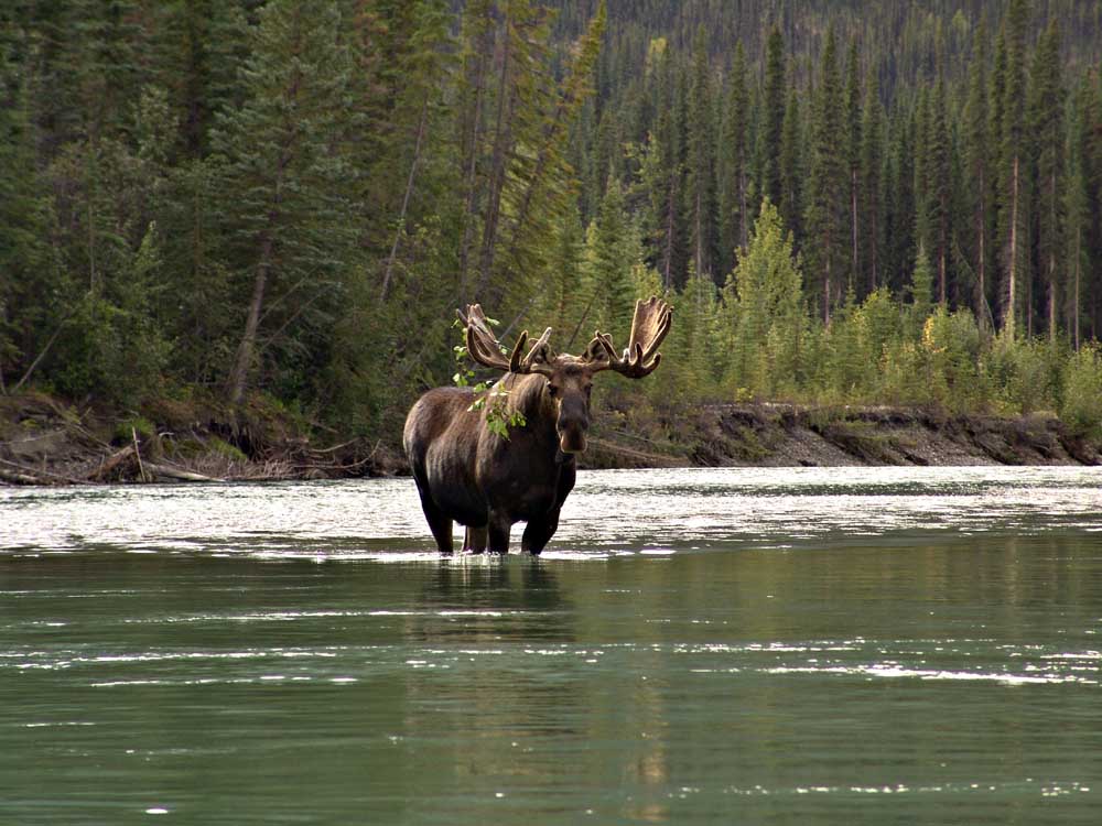 Nahanni-23