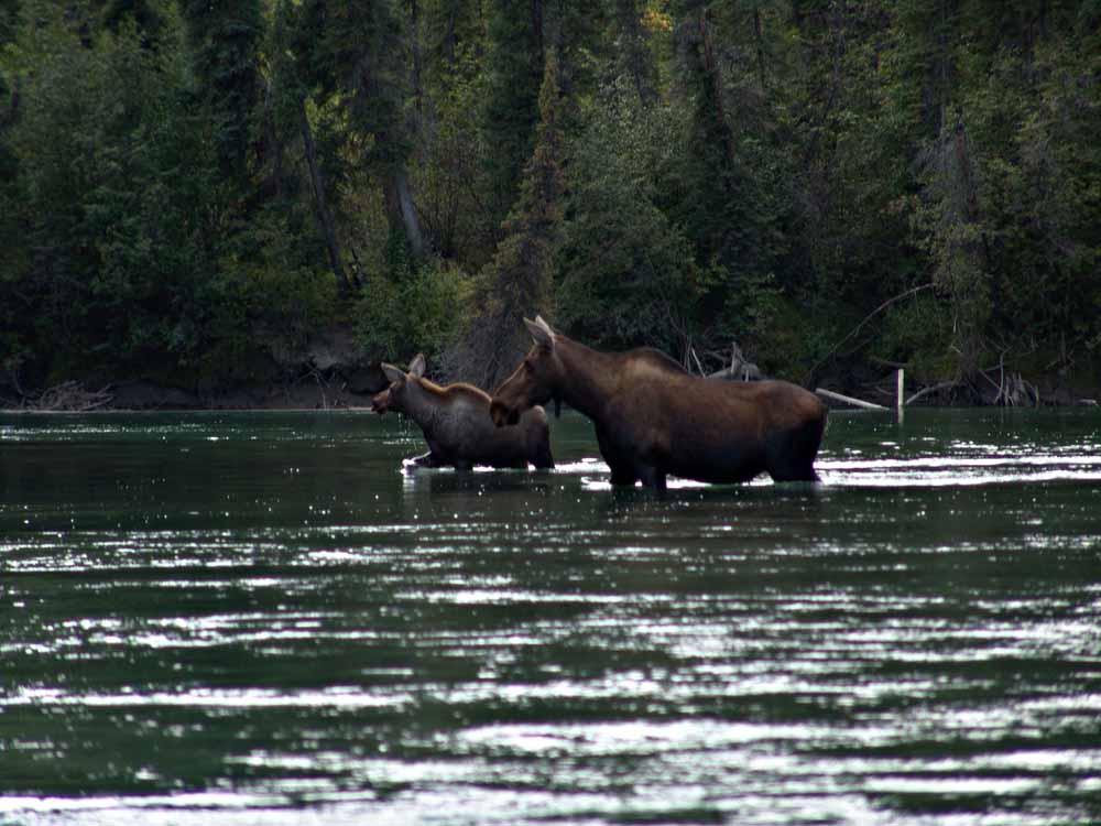 Nahanni-24