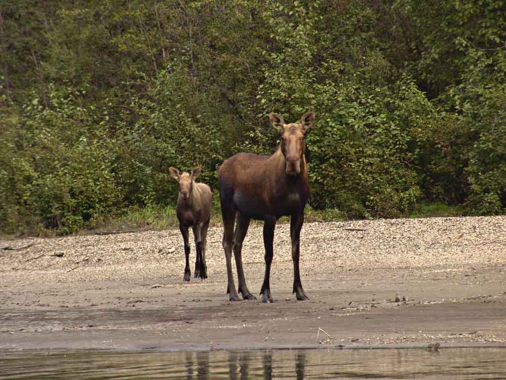 Nahanni-26