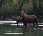 Nahanni-25